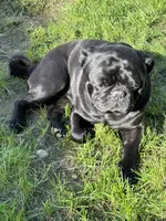 processed/21fcbeba-98ad-4e95-8bf5-cd9fcf208495/facility/f8880ab1-60dd-4e00-a91d-6fa67e2af2f6