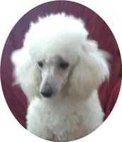 processed/2206ddc3-b954-47fe-b8ea-f105ddd413b0/listing/cd3cd733-d001-4515-8f75-9af2571b7078/5bf4244f-5232-47c7-98ed-9545d3cc0f5c