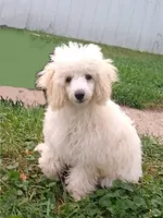 processed/2206ddc3-b954-47fe-b8ea-f105ddd413b0/listing/cd3cd733-d001-4515-8f75-9af2571b7078/5d0bdafa-882d-4be7-8e1b-ce864382776b