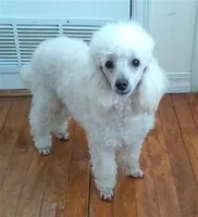 processed/2206ddc3-b954-47fe-b8ea-f105ddd413b0/listing/cd3cd733-d001-4515-8f75-9af2571b7078/a8f2472e-0bf6-4618-9f5a-9c81aac9ceff