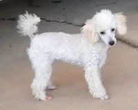 processed/2206ddc3-b954-47fe-b8ea-f105ddd413b0/listing/cd3cd733-d001-4515-8f75-9af2571b7078/f9648284-dc27-40c5-80e8-92f0ae8a136f