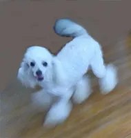 processed/2206ddc3-b954-47fe-b8ea-f105ddd413b0/listing/d72ab528-1200-46f9-bec1-ff75683caffc/acad7007-47d8-42b5-b8fc-f26103bcca7a