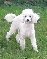 processed/2206ddc3-b954-47fe-b8ea-f105ddd413b0/listing/d72ab528-1200-46f9-bec1-ff75683caffc/bc7549d3-0a7e-4db2-b255-d758f13c9bc7