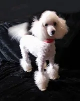 processed/2206ddc3-b954-47fe-b8ea-f105ddd413b0/listing/d72ab528-1200-46f9-bec1-ff75683caffc/ccca2909-0dd6-4ab3-8a96-99d11d5a5ffe