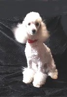 processed/2206ddc3-b954-47fe-b8ea-f105ddd413b0/listing/d72ab528-1200-46f9-bec1-ff75683caffc/dd569f60-5039-40f4-8b6f-a07e4f2d6324