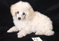 processed/2206ddc3-b954-47fe-b8ea-f105ddd413b0/listing/d87b52b2-7dd1-4241-968a-72c7883da307/6a9e3ebd-4d6f-458f-95a5-63105b38fb07