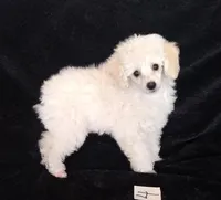 processed/2206ddc3-b954-47fe-b8ea-f105ddd413b0/listing/d87b52b2-7dd1-4241-968a-72c7883da307/9a26d322-db33-4bea-9d0f-73d347b171d0