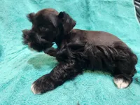 processed/22081830-b696-49f9-bb20-732da2ba94db/listing/24367b14-e2ba-4493-89b9-d420662f2ef0/43b818bb-d818-4eec-b5eb-97fd7a9e8eaf