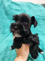 processed/22081830-b696-49f9-bb20-732da2ba94db/listing/24367b14-e2ba-4493-89b9-d420662f2ef0/57c18433-83b0-4484-8b00-3359c748f4d3