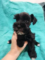 processed/22081830-b696-49f9-bb20-732da2ba94db/listing/24367b14-e2ba-4493-89b9-d420662f2ef0/95707a26-392c-4126-ab84-91c0ffb408b7