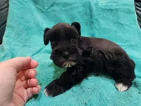 processed/22081830-b696-49f9-bb20-732da2ba94db/listing/24367b14-e2ba-4493-89b9-d420662f2ef0/b057683f-03dc-4046-8f8c-2083acafdeb6