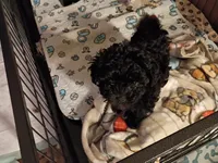 processed/220b0774-b495-4056-a05a-c610a1d3acdf/listing/d01069dd-8108-4396-83a7-297ce3efde96/59fedd0a-6a5c-4e7c-87a9-7e4fad62ba58