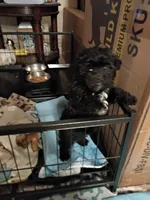 processed/220b0774-b495-4056-a05a-c610a1d3acdf/listing/d01069dd-8108-4396-83a7-297ce3efde96/af78e943-b580-478d-9dbb-1116abe9ccce