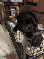 processed/220b0774-b495-4056-a05a-c610a1d3acdf/listing/d01069dd-8108-4396-83a7-297ce3efde96/cde19e45-fc96-428e-afcd-24a447be3fe6