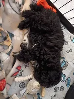 processed/220b0774-b495-4056-a05a-c610a1d3acdf/listing/d01069dd-8108-4396-83a7-297ce3efde96/fe2b9cd7-f233-4b28-a141-9f31a0d64e4f