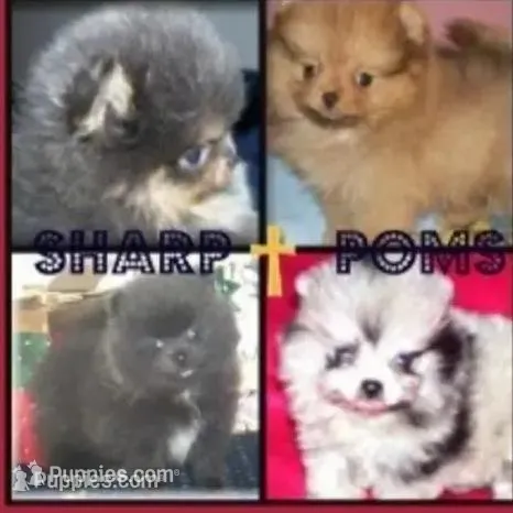 processed/2211b05f-cc17-4983-9d6a-bd70e64ada07/facility/529a9b35-53f1-4b42-8158-c17c5fd3ceb2