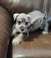 processed/221e1137-dd82-423d-8550-07ca71775b88/listing/18e1dd35-0cc2-4929-9ac0-5e1c82aec29d/23a3dae7-4cc1-4411-93dc-845f9052ce67