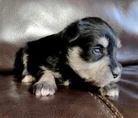 processed/221e1137-dd82-423d-8550-07ca71775b88/listing/7cd3156a-6cf9-459e-b3f4-56d81a60f5f5/7cc8e7e9-a110-459c-9124-0f6f6b162b29