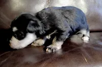 processed/221e1137-dd82-423d-8550-07ca71775b88/listing/7cd3156a-6cf9-459e-b3f4-56d81a60f5f5/e365b9c2-cbb3-4b21-978e-5eed71e4ff2e