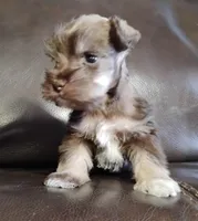 processed/221e1137-dd82-423d-8550-07ca71775b88/listing/df3c1a1f-4141-4f8b-94fe-ebd47fc1aed5/2cbbd235-2d57-4044-93d3-4bcfe0e82197