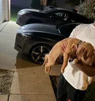 gucci, a male American Pit Bull Terrier for sale in Reisterstown, MD – 3 of 6