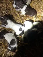 processed/2223e86b-f44a-4cf9-9801-abab876a602b/facility/004df275-ad35-4777-a3eb-fce4092acf64