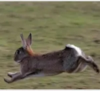 processed/2223e86b-f44a-4cf9-9801-abab876a602b/facility/406c394a-4219-4a99-8dbf-6004b43db998