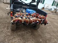 processed/2223e86b-f44a-4cf9-9801-abab876a602b/facility/7eb493f4-3531-4c85-b7c8-29268bdd3b8f