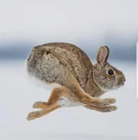 processed/2223e86b-f44a-4cf9-9801-abab876a602b/facility/9c3400ae-54a3-40f4-a82d-140bbb8fbdd1