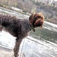 processed/2223e86b-f44a-4cf9-9801-abab876a602b/facility/a2e18d90-5eb8-4c9d-88d6-6ec670f379b5