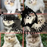 processed/2225bf7e-6b39-40c6-bb57-49d820d496be/facility/3fa5da2a-9757-4ec3-b606-2baabc85e8df