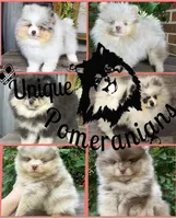 processed/2225bf7e-6b39-40c6-bb57-49d820d496be/facility/3fa5da2a-9757-4ec3-b606-2baabc85e8df