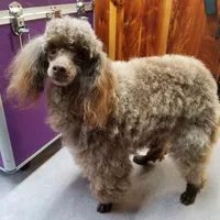 processed/22298b07-5761-4447-9f4e-3169879488bf/facility/1239ce86-fef5-44f5-9587-38fd24a686c9