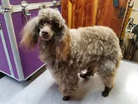 processed/22298b07-5761-4447-9f4e-3169879488bf/facility/1239ce86-fef5-44f5-9587-38fd24a686c9