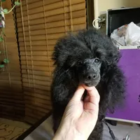 processed/22298b07-5761-4447-9f4e-3169879488bf/facility/6435414f-683c-40ac-91c7-437a7a05dfc3