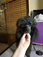 processed/22298b07-5761-4447-9f4e-3169879488bf/facility/6435414f-683c-40ac-91c7-437a7a05dfc3