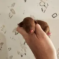 processed/22298b07-5761-4447-9f4e-3169879488bf/facility/68643cc3-cdac-4ed8-9f70-fa24ee9686b8