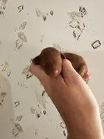 processed/22298b07-5761-4447-9f4e-3169879488bf/facility/68643cc3-cdac-4ed8-9f70-fa24ee9686b8