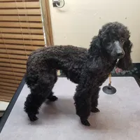 processed/22298b07-5761-4447-9f4e-3169879488bf/facility/9a6be977-eb2e-493c-ba9c-688e29dc5513