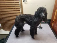 processed/22298b07-5761-4447-9f4e-3169879488bf/facility/9a6be977-eb2e-493c-ba9c-688e29dc5513