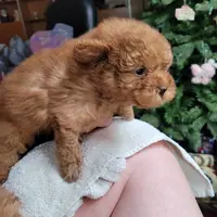 processed/22298b07-5761-4447-9f4e-3169879488bf/facility/9ae7a155-3527-464d-a577-3a60480d04a5