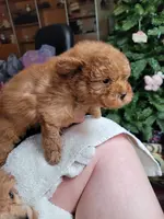 processed/22298b07-5761-4447-9f4e-3169879488bf/facility/9ae7a155-3527-464d-a577-3a60480d04a5