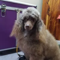 processed/22298b07-5761-4447-9f4e-3169879488bf/facility/aa0c5341-5e51-4a0b-b4ea-8dd88e7ff945