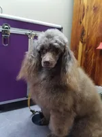 processed/22298b07-5761-4447-9f4e-3169879488bf/facility/aa0c5341-5e51-4a0b-b4ea-8dd88e7ff945