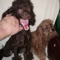 processed/22298b07-5761-4447-9f4e-3169879488bf/facility/ab41074f-b1c5-40c5-b6a8-748f1900ecda