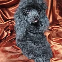 processed/22298b07-5761-4447-9f4e-3169879488bf/facility/edd4ad63-f55b-4829-932a-1f1e127f28f7