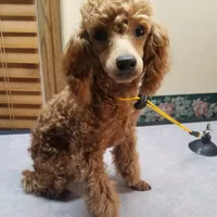 processed/22298b07-5761-4447-9f4e-3169879488bf/facility/ef4630c3-b62f-4788-a016-ffc817840579