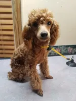 processed/22298b07-5761-4447-9f4e-3169879488bf/facility/ef4630c3-b62f-4788-a016-ffc817840579