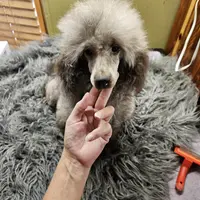 processed/22298b07-5761-4447-9f4e-3169879488bf/facility/fdda2e0d-3fd0-48ad-96ad-cf4f2a52344b