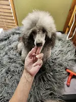 processed/22298b07-5761-4447-9f4e-3169879488bf/facility/fdda2e0d-3fd0-48ad-96ad-cf4f2a52344b